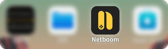 NETBOOM